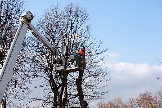 Seasonal Cleanup (Spring/Fall) in Clinton, PA